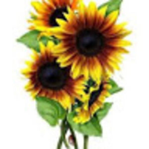 Meet your Posher, Lineah